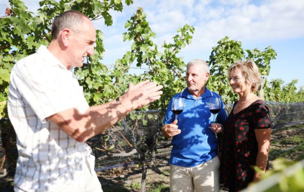 Napier Cruise Ship Shore Excursion Private Tour - Don shares his grape growing knowledge in the vineyard with two guests