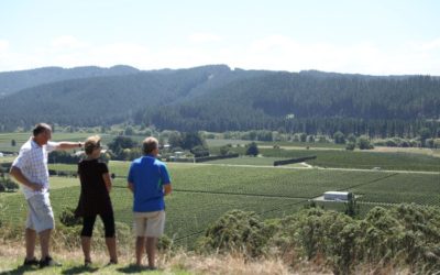 Tips for enjoying winery tours in New Zealand